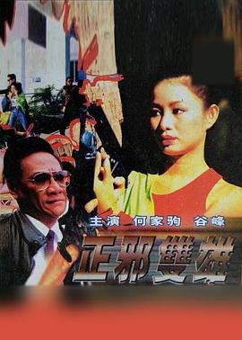 正邪雙雄 正邪雙雄