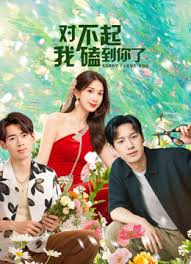 對(duì)不起我磕到你了 對(duì)不起我磕到你了